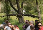 Zoo Liberec : _moje, bečka, bečka s dětma, pták, zoo